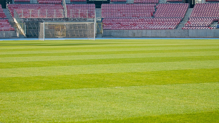 Come gestire i campi sportivi e da calcio in estate