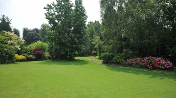 Come realizzare un prato di agrostide nel giardino