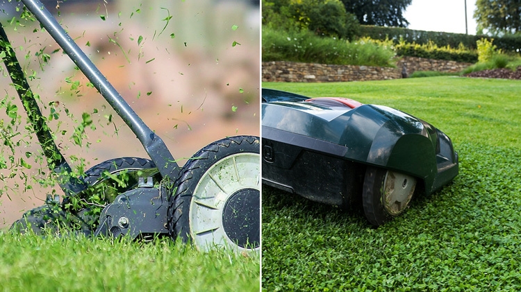 Come scegliere il taglio del prato tra raccolta, mulching o robot