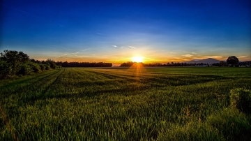 Come seminare un pascolo in un parco naturale o in una riserva di caccia