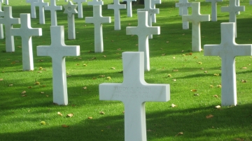 Come seminare un prato in un&#039;area archeologica, monumentale e nei cimiteri