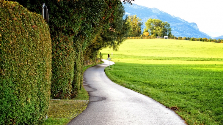 Come seminare un prato su una scarpata o su un&#039;area abbandonata