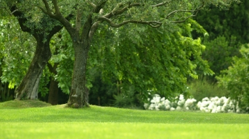 Gli interventi di inizio primavera sul prato (Fine febbraio – Inizio Marzo)