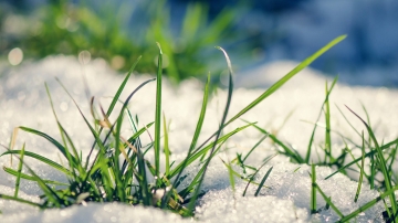 Gli interventi invernali sul prato (Gennaio - Febbraio)