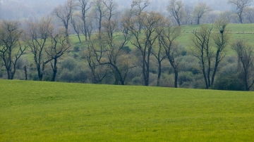 Perché seminare un pascolo in un parco naturale o in una riserva di caccia