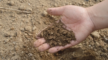 Usare la polvere di roccia come fertilizzante biologico del terreno